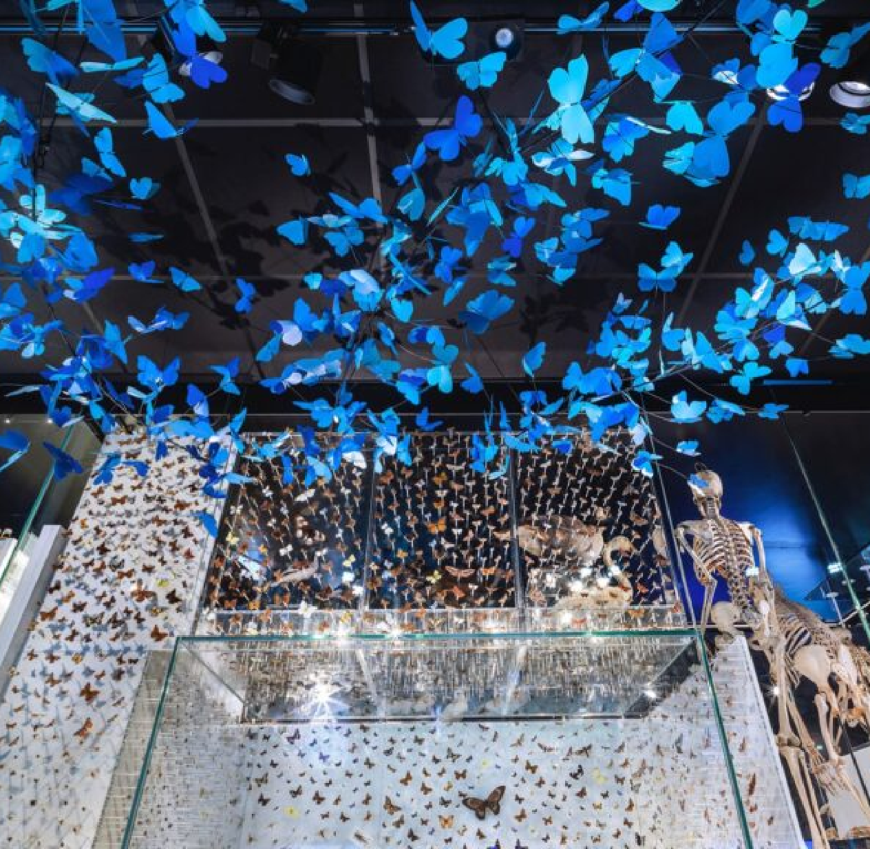 Museums & Visitor Attractions