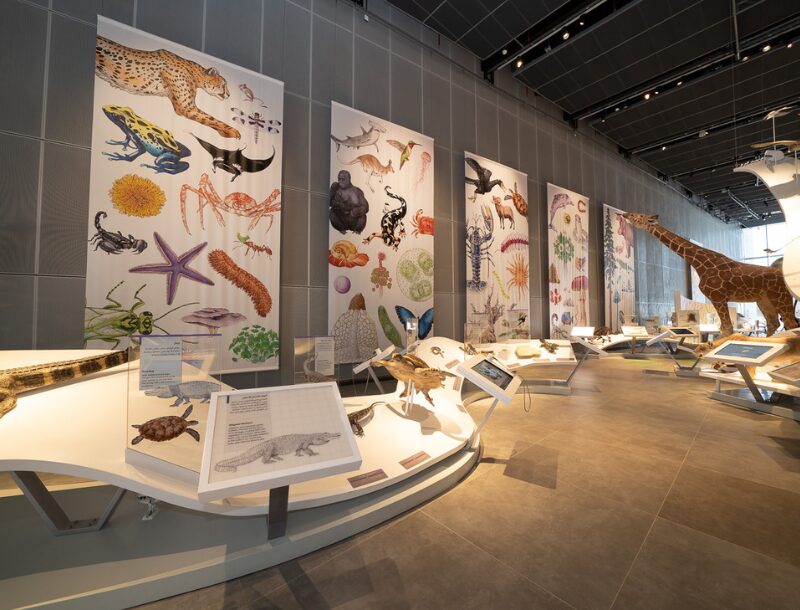 Events & Exhibitions